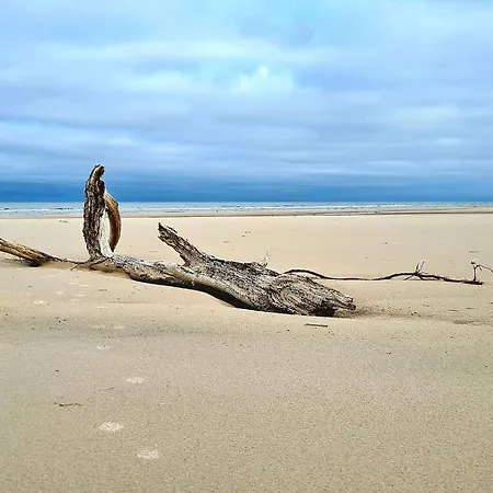 8 Person In Bindslev-by Traum *