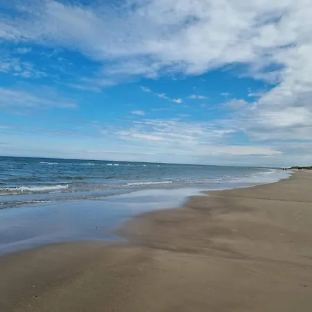 8 Person In Bindslev-by Traum