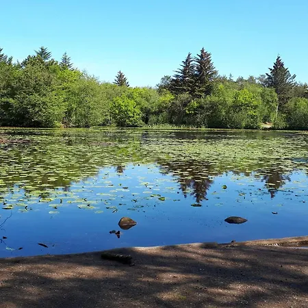 8 Person In Bindslev-by Traum *