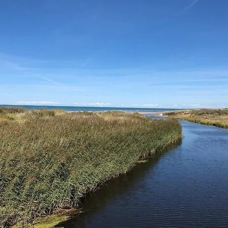 8 Person In Bindslev-by Traum